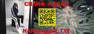дурь Пенза