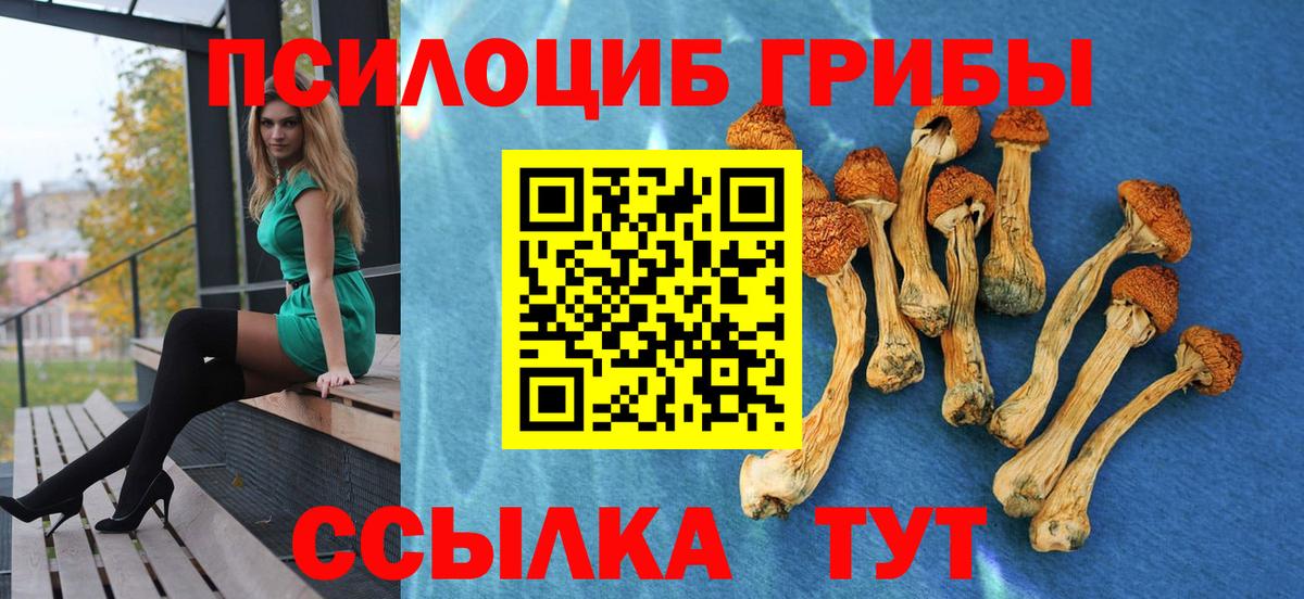 Галлюциногенные грибы Magic Shrooms  купить закладку  Пугачёв  Вход с VPN 